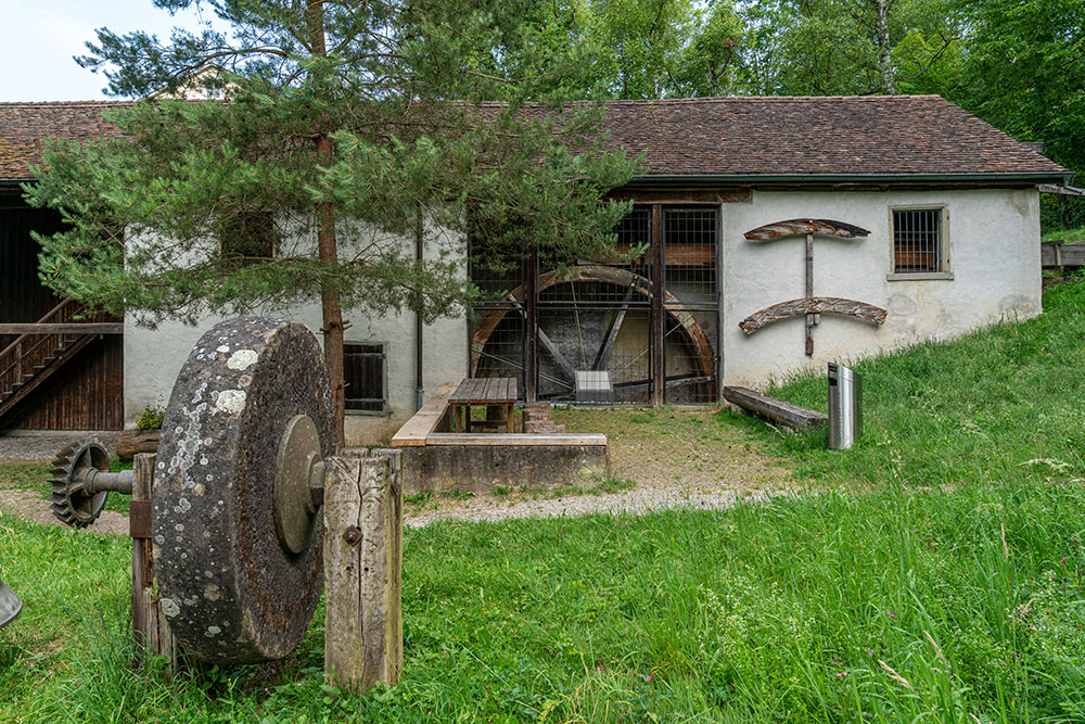 Sagi Bassersdorf