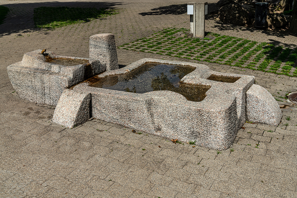 Schule Leeacher Ebmatingen