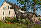 Fehraltorf 069