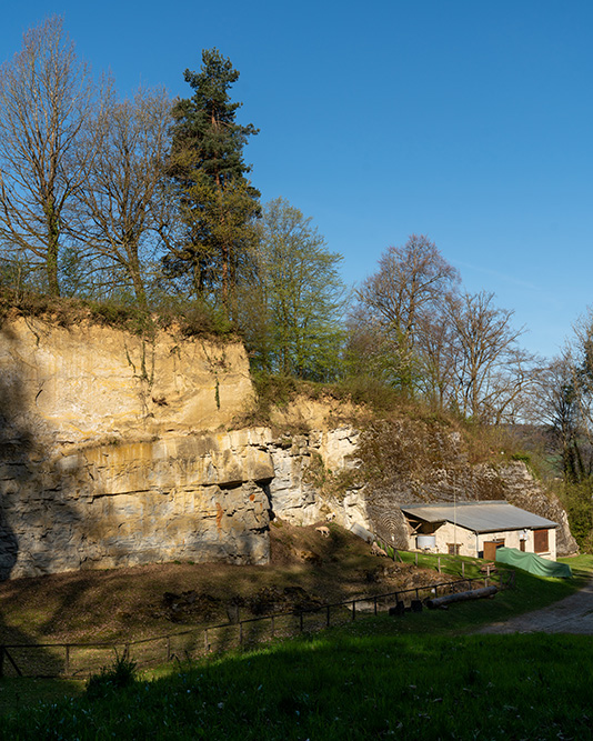 Steinbruch Mägenwil