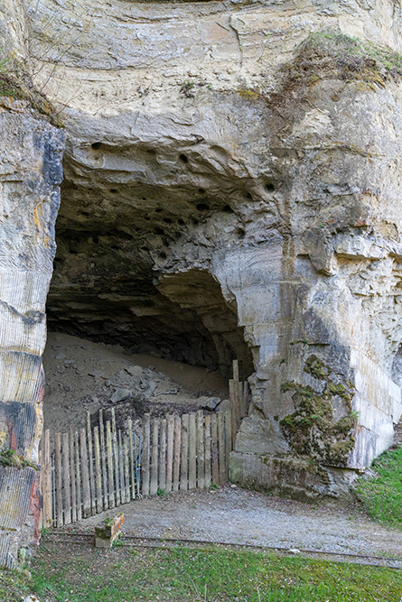 Steinbruch Mägenwil