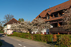 Mägenwil-028
