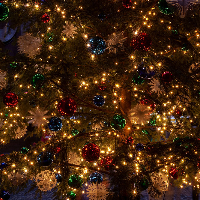 Weihnachtsbaum im Innenhof des Rathauses