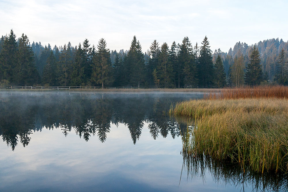 Etang de la Gruère