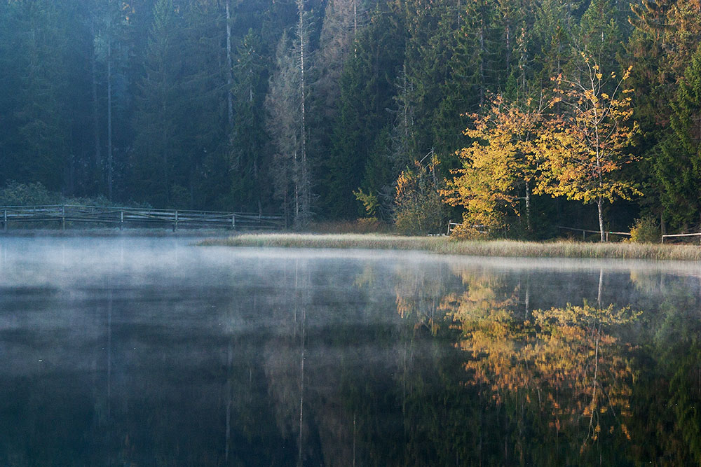 Etang de la Gruère