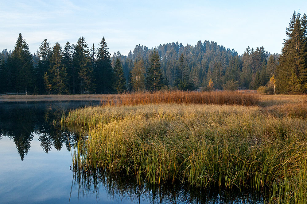 Etang de la Gruère