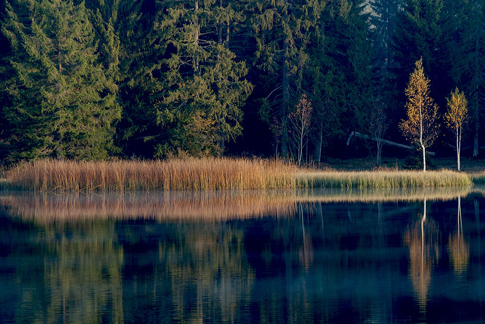 Etang de la Gruère