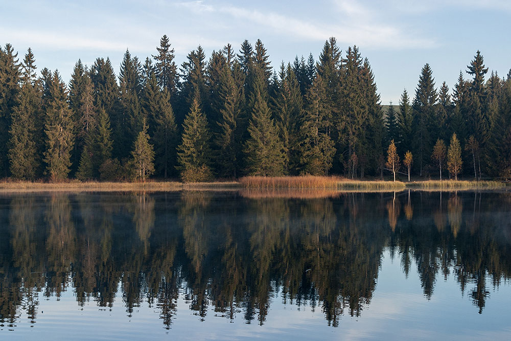 Etang de la Gruère