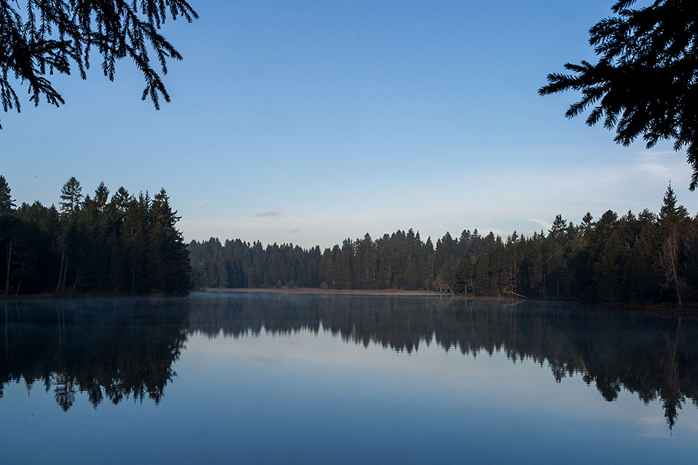 Etang de la Gruère