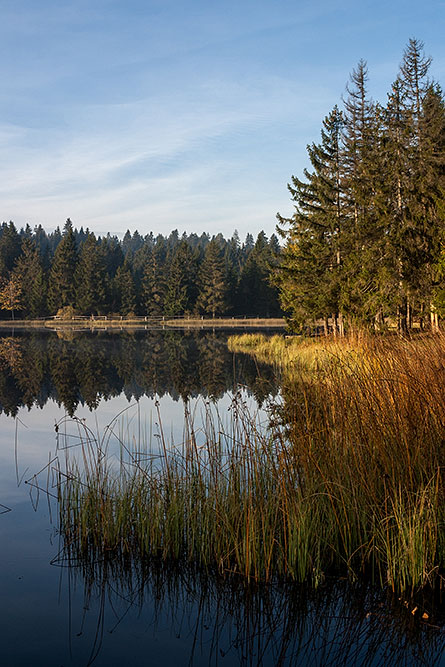 Etang de la Gruère