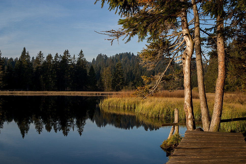 Etang de la Gruère