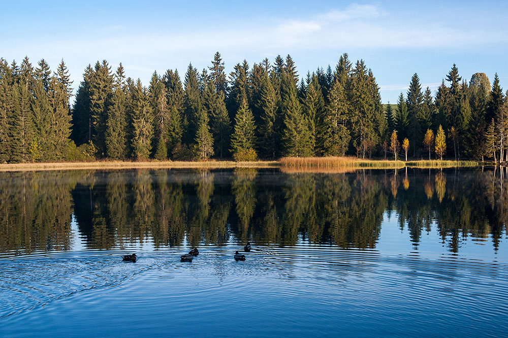 Etang de la Gruère