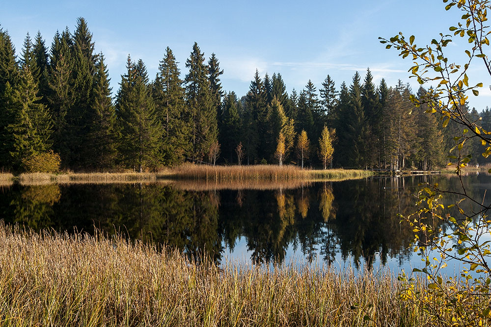 Etang de la Gruère