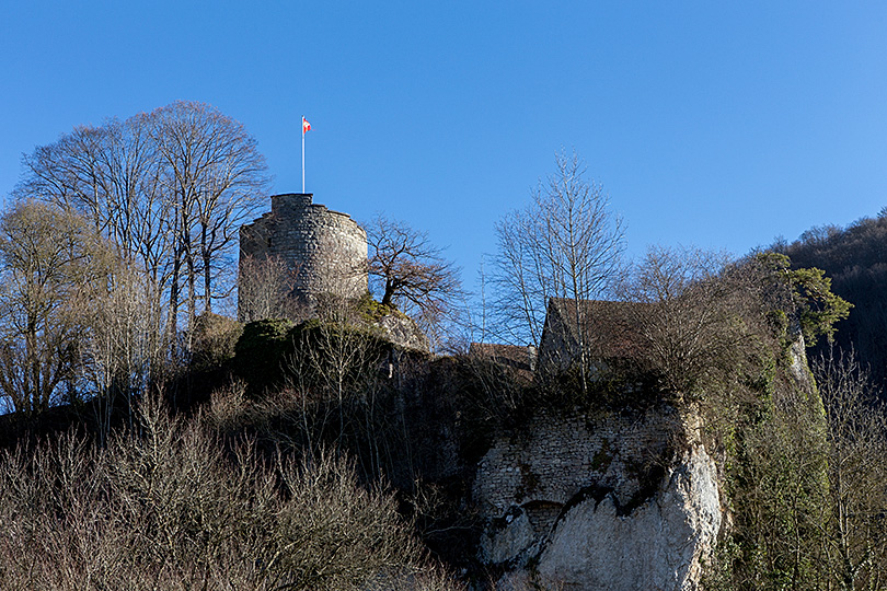 Château de Pleujouse