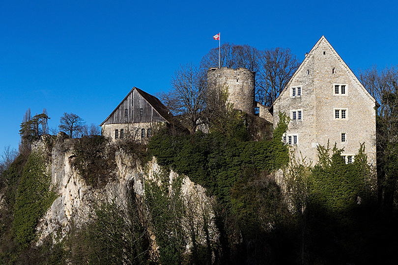 Château de Pleujouse