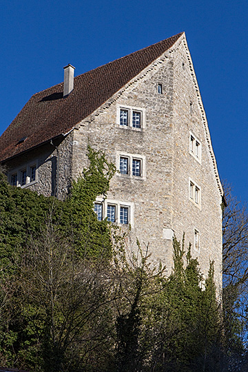 Château de Pleujouse