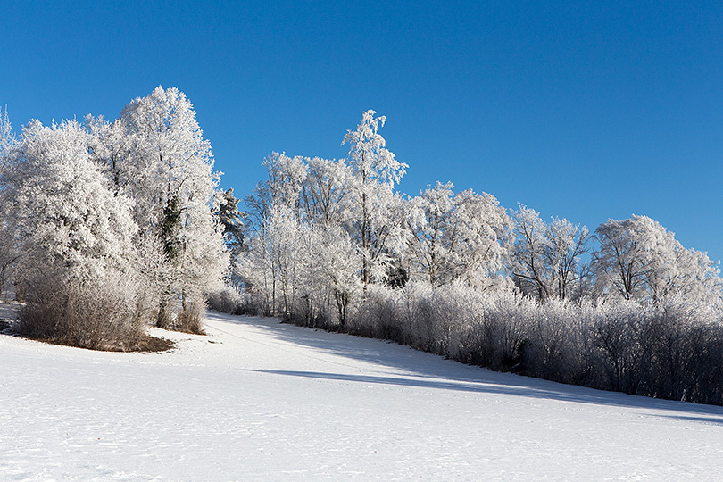 Gelée blanche