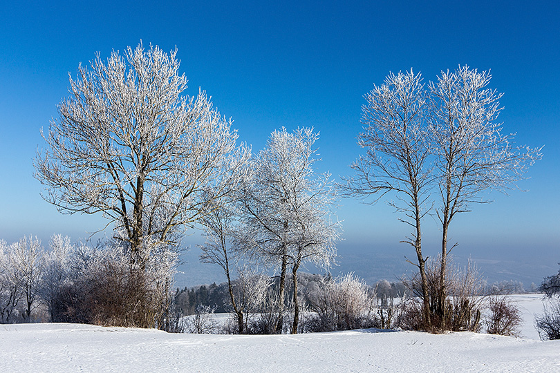 gelée blanche