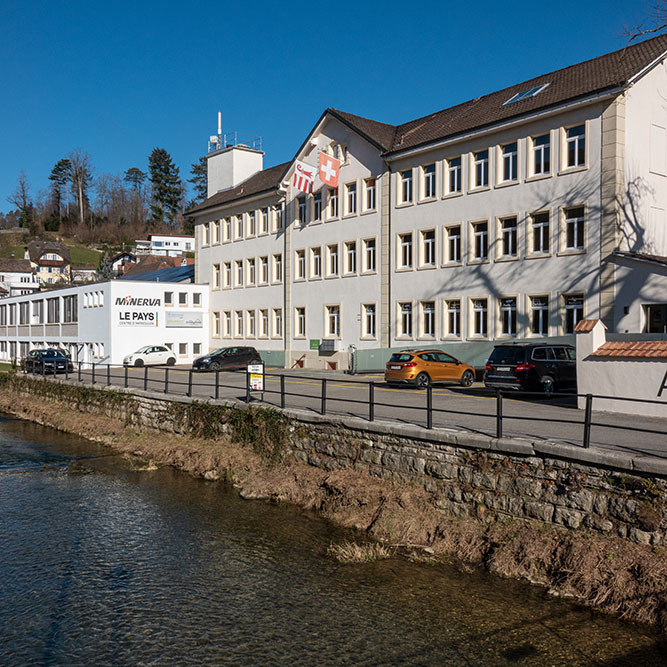 Allaine