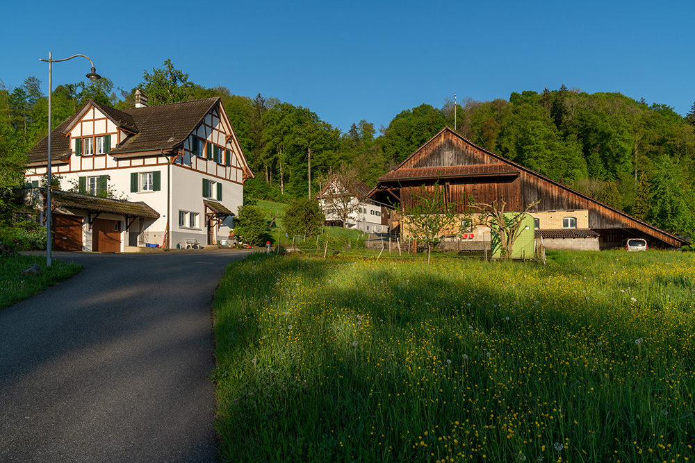 Schürenstrasse Birmensdorf