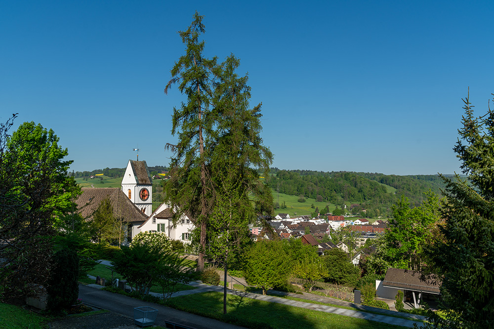 Friedhof Birmensdorf