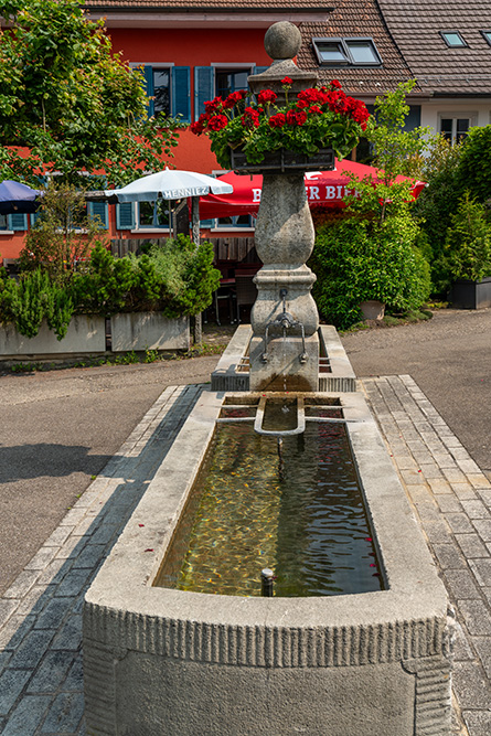 Brunnen in Hedingen