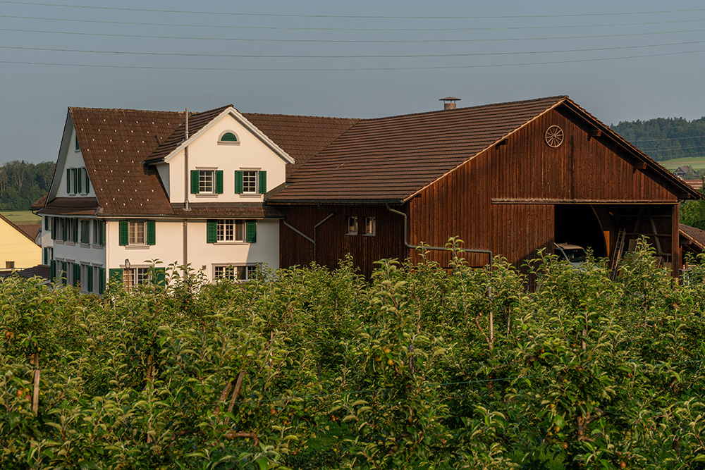 Hausackerstrasse Hedingen