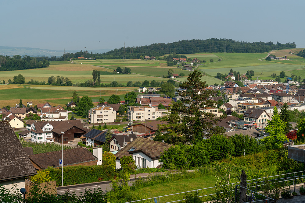 Hedingen