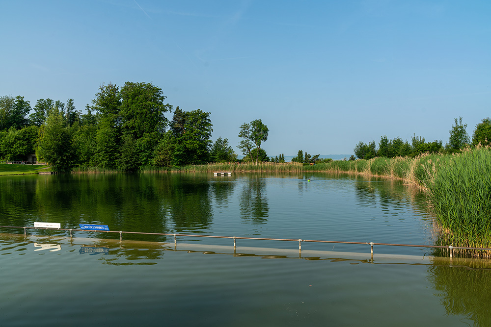 Hedinger Weiher