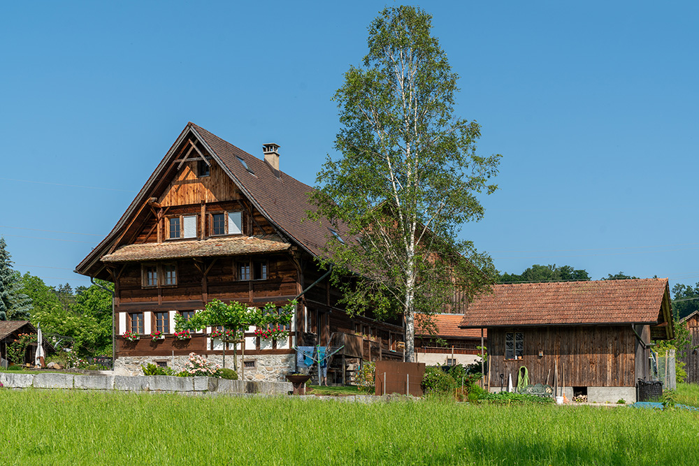 Bohlenständerbau in Hedingen