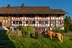 Birmensdorf-009