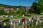 Urdorf-062
