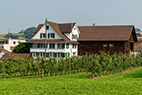 Hedingen-042