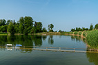 Hedingen-049