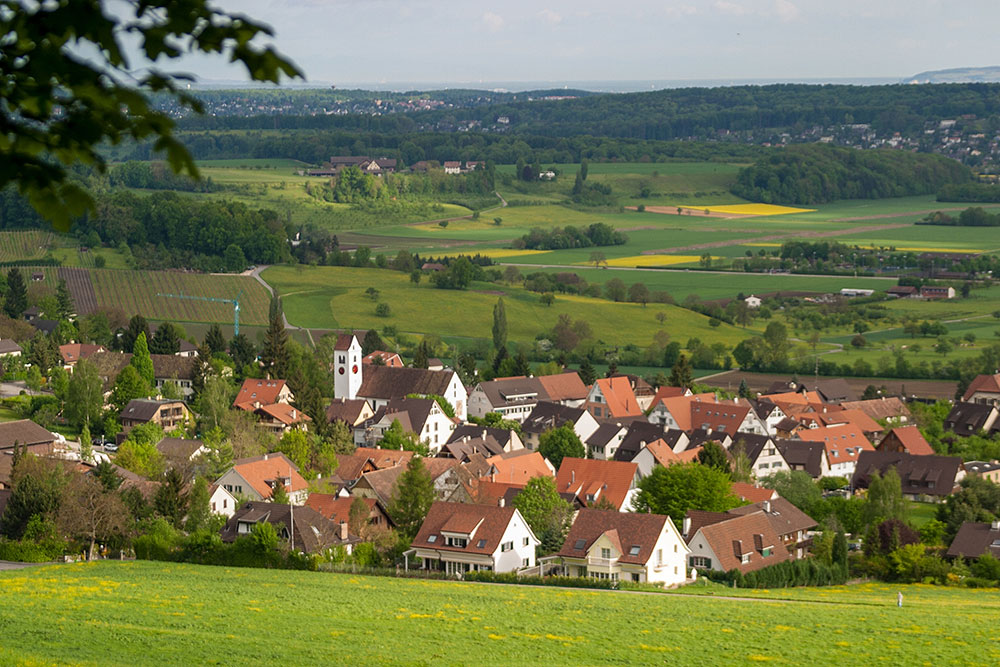 Blick auf Pfeffingen