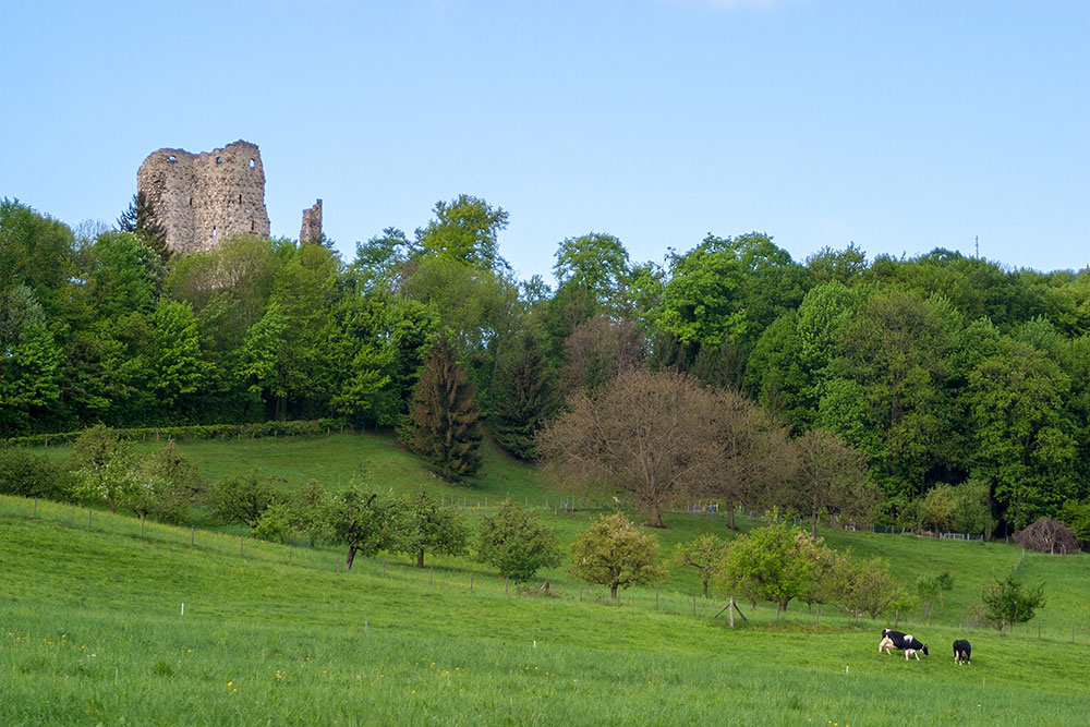 Ruine Pfeffingen