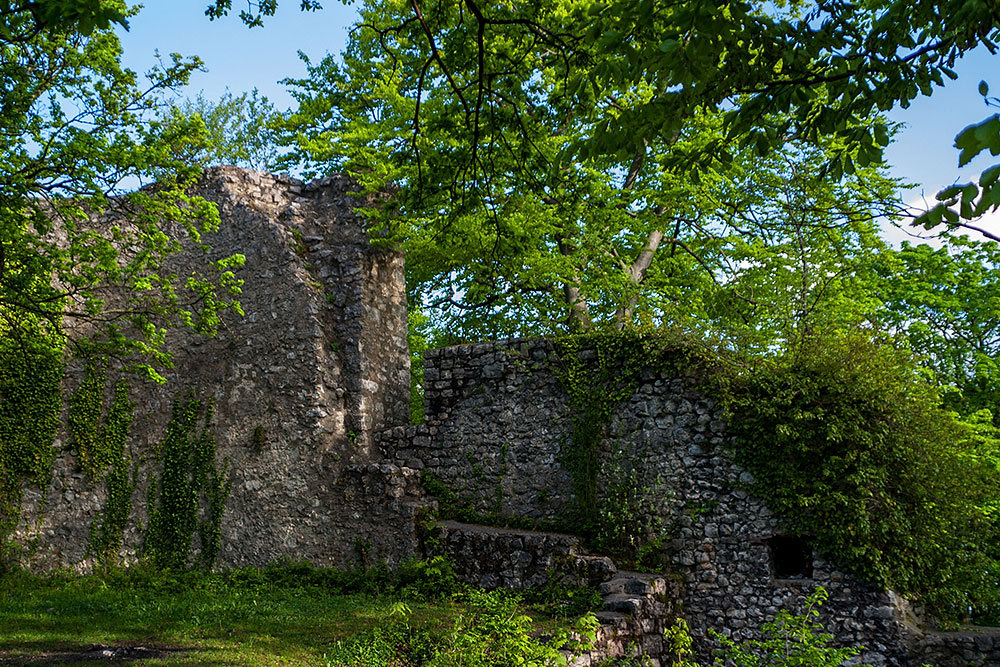 Ruine Pfeffingen