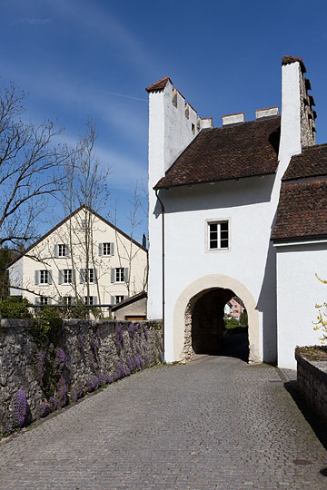 Schloss Zwingen