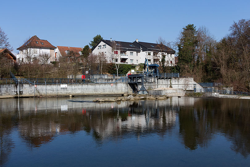 Wuhr in Münchenstein