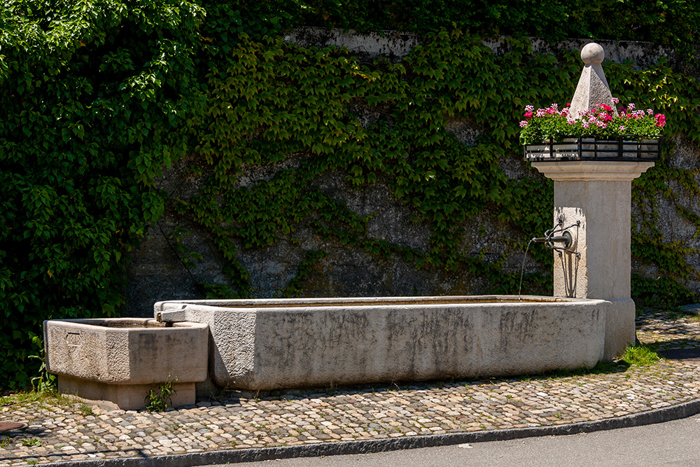 Brunnen in Oberwil BL