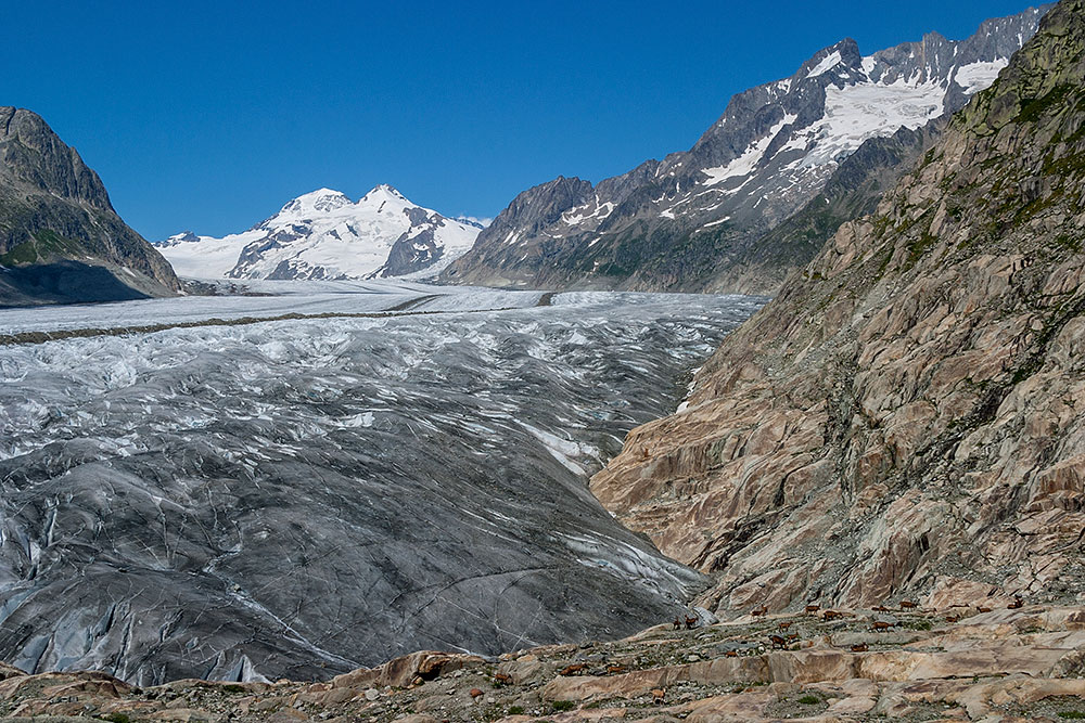 Aletschgletscher