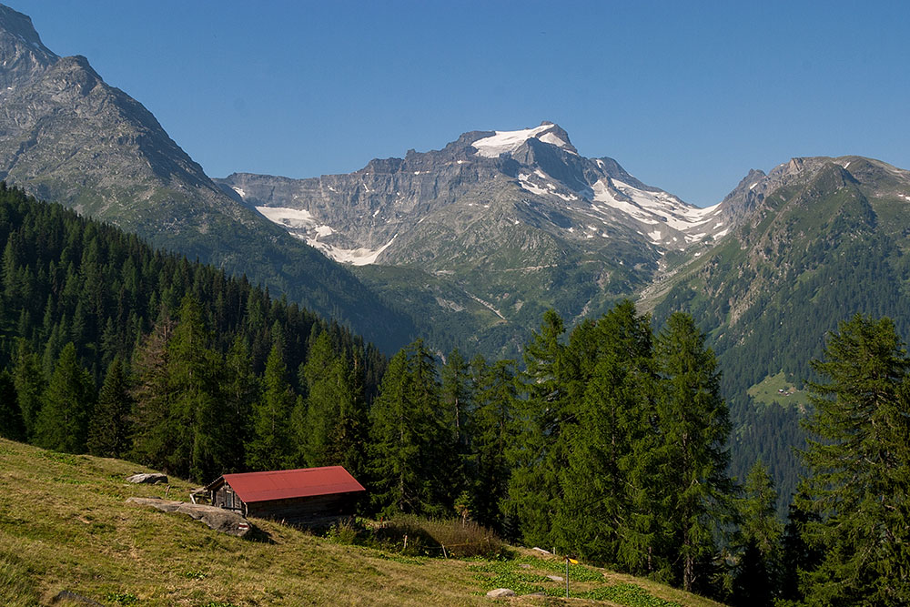 Schaplerstafel