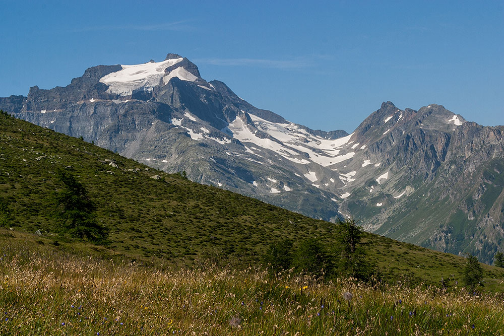 Hillehorn