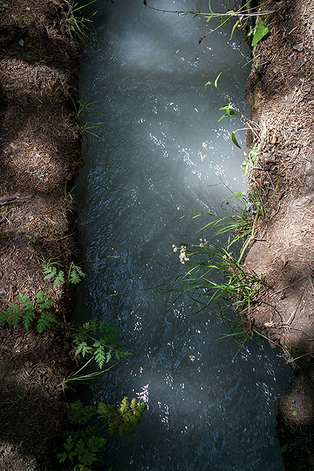 Suone im Baltschiedertal