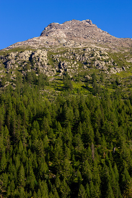 Berg