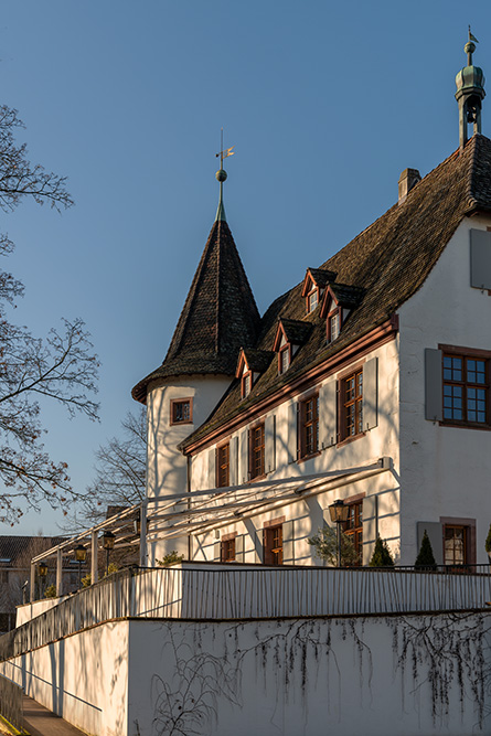 Schloss Binningen