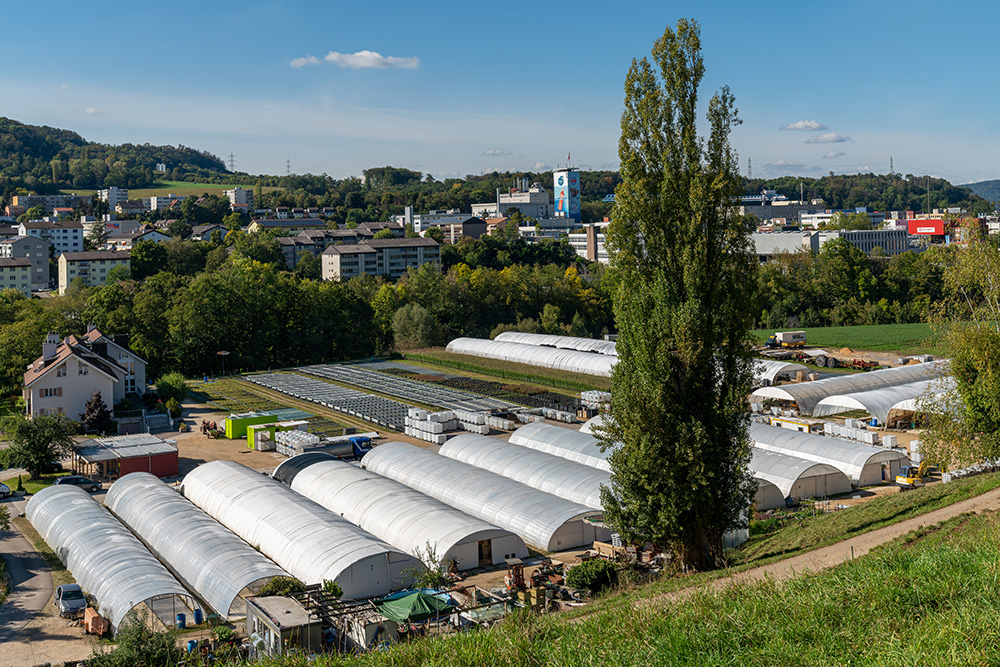 Gärtnerei in Füllinsdorf