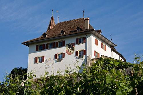 Schloss Erlach