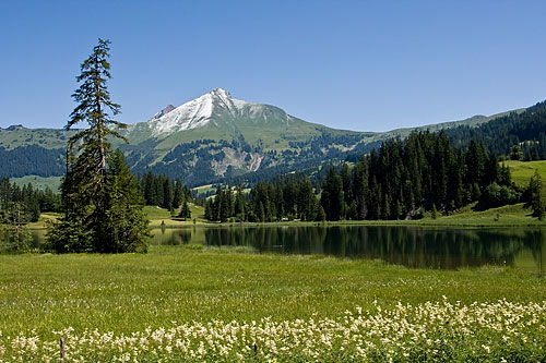 Lauenensee