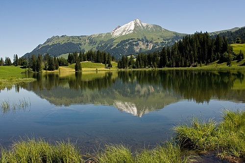 Lauenensee